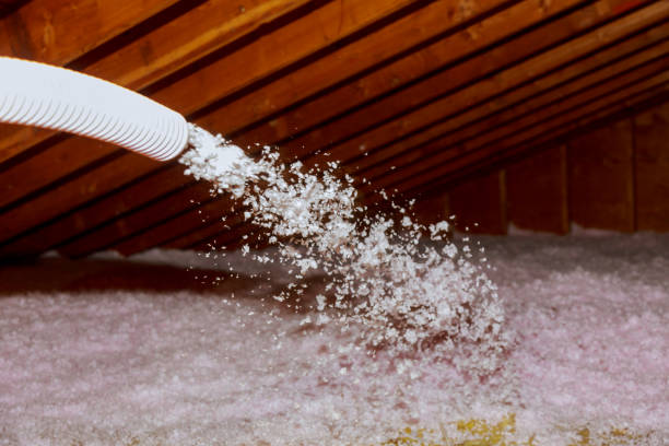 Best Commercial Insulation in East Whittier, CA