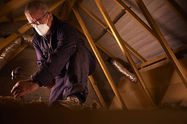 Best Energy Efficiency Insulation in East Whittier, CA